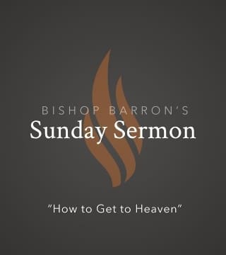 Robert Barron - How to Get to Heaven