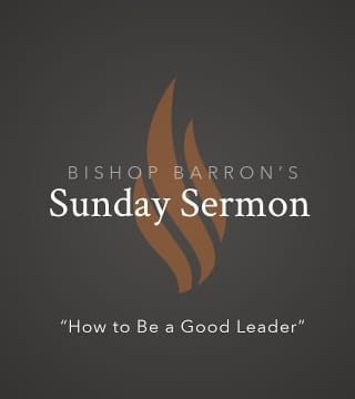 Robert Barron - How to Be a Good Leader