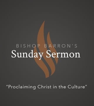 Robert Barron - Proclaiming Christ in the Culture