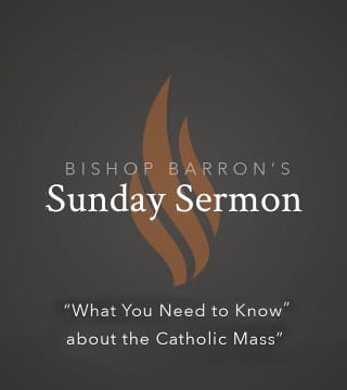 Robert Barron - What You Need to Know about the Catholic Mass