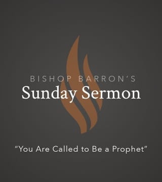 Robert Barron - You Are Called to Be a Prophet