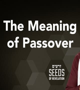 Rabbi Schneider - The Meaning of Passover