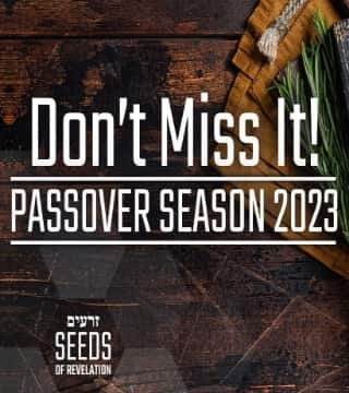 Rabbi Schneider - Don't Miss It! Passover Season 2023