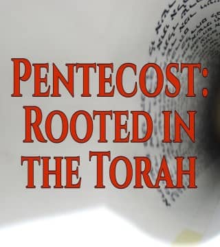Rabbi Schneider - Fulfilling God's Promise (Pentecost)