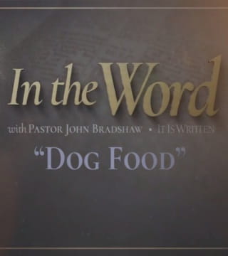 John Bradshaw - Dog Food