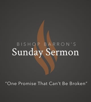 Robert Barron - One Promise That Can't Be Broken