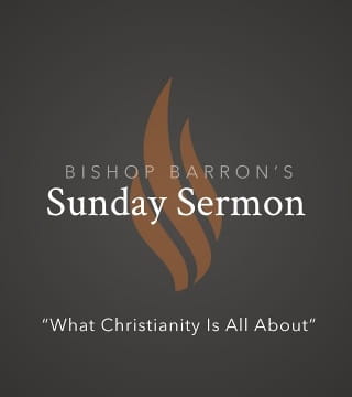 Robert Barron - What Christianity Is All About
