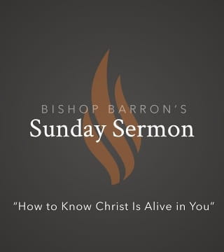Robert Barron - How to Know Christ Is Alive in You