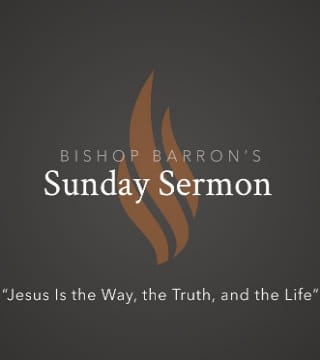 Robert Barron - Jesus Is the Way, the Truth, and the Life
