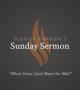 Robert Barron - What Does God Want for Me?