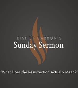 Robert Barron - What Does the Resurrection Actually Mean?