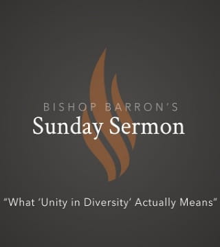Robert Barron - What 'Unity in Diversity' Actually Means?