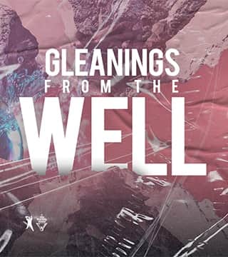 TD Jakes - Gleanings From the Well