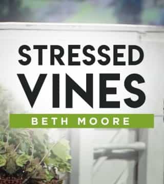 Beth Moore - Stressed Vines
