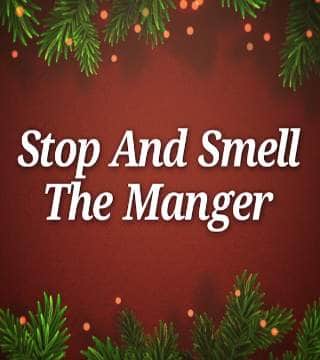 Robert Jeffress - Stop And Smell The Manger