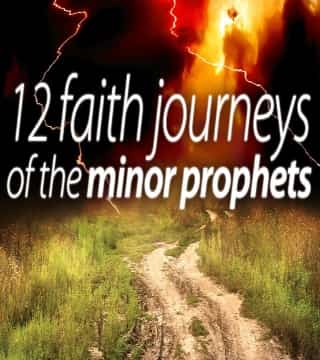 David Reagan - The Minor Prophets Book