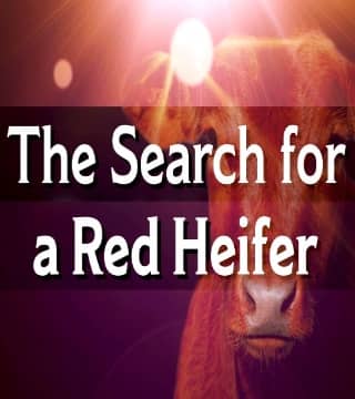 David Reagan - Jeanne Nigro on the Red Heifer