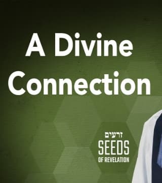 Rabbi Schneider - A Divine Connection