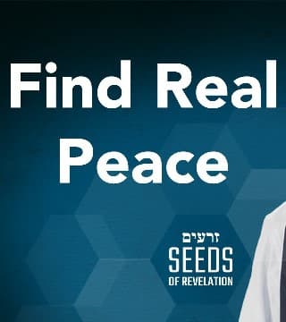 Rabbi Schneider - Find Real Peace