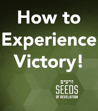 Rabbi Schneider - How to Experience Victory