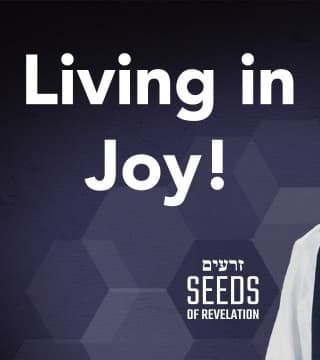 Rabbi Schneider - Living in Joy