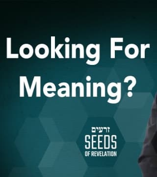 Rabbi Schneider - Looking For Meaning