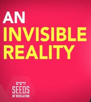 Rabbi Schneider - An Invisible Reality