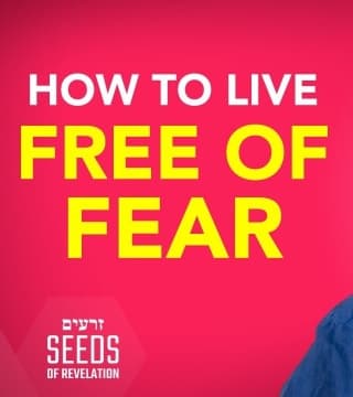 Rabbi Schneider - How to Live Free of Fear