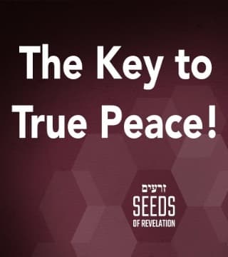 Rabbi Schneider - The Key to True Peace!