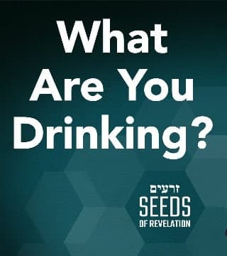 Rabbi Schneider - What Are You Drinking?
