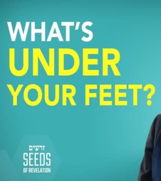 Rabbi Schneider - What's Under Your Feet?