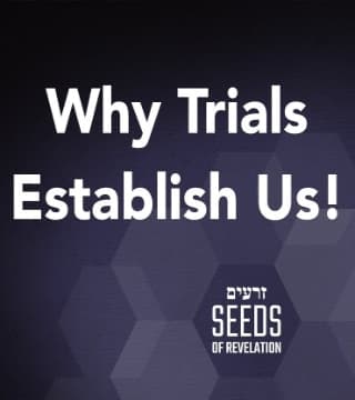 Rabbi Schneider - Why Trials Establish Us!