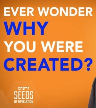 Rabbi Schneider - Ever Wonder Why You Were Created