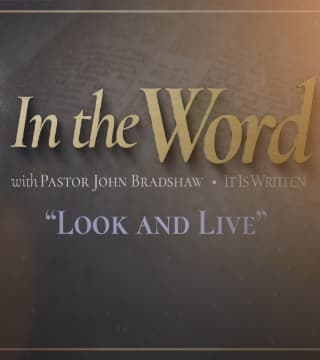 John Bradshaw - Look and Live