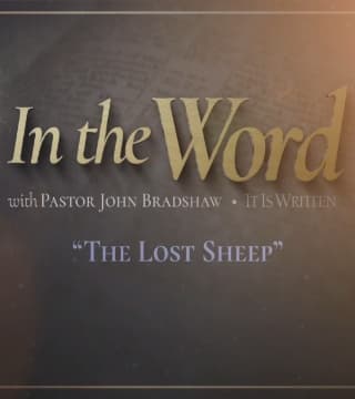 John Bradshaw - The Lost Sheep