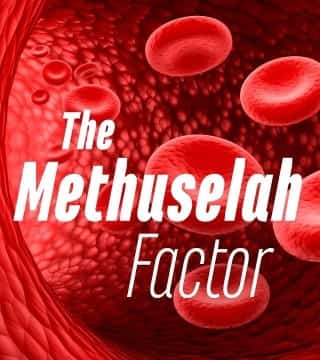 John Bradshaw - The Methuselah Factor