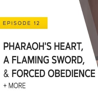 John Bradshaw - Pharaoh's Heart, a Flaming Sword and Forced Obedience