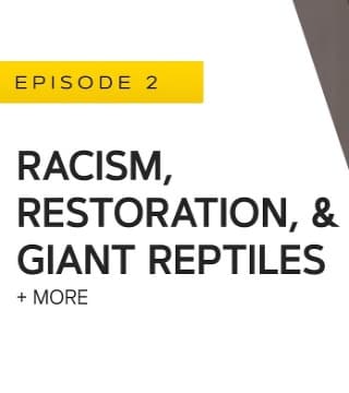 John Bradshaw - Racism, Restoration and Giant Reptiles