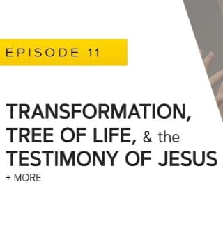 John Bradshaw - Transformation, the Tree of Life and the Testimony of Jesus