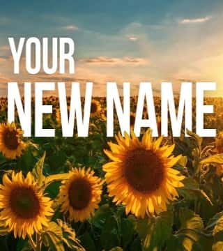 John Bradshaw - Your New Name