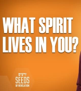 Rabbi Schneider - What Spirit Lives in You?