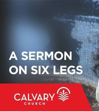 Skip Heitzig - A Sermon on Six Legs
