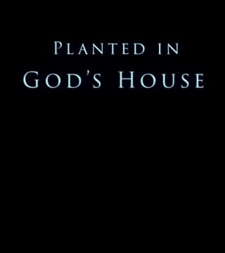 Derek Prince - Planted In God's House