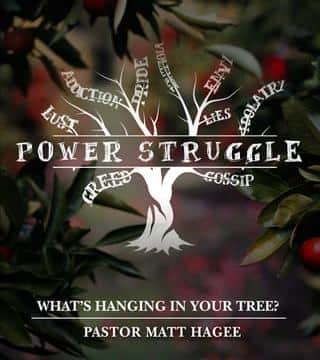 Matt Hagee - What's Hanging in Your Tree?