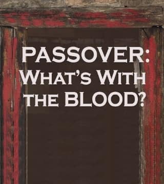Rabbi Schneider - Passover and The Blood of the Lamb