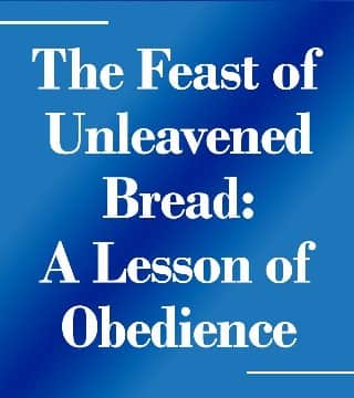 Rabbi Schneider - Understanding Unleavened Bread