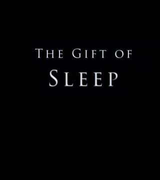 Derek Prince - The Gift of Sleep (NEW)