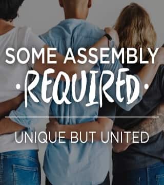 Mike Novotny - Unique but United
