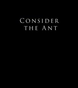 Derek Prince - Consider the Ant