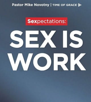 Mike Novotny - Sex Is Work